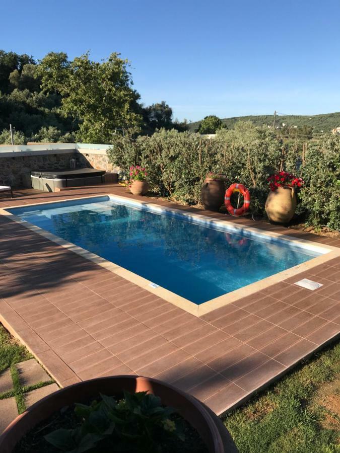 Villa Casa Avocado Tavronitis  Ngoại thất bức ảnh