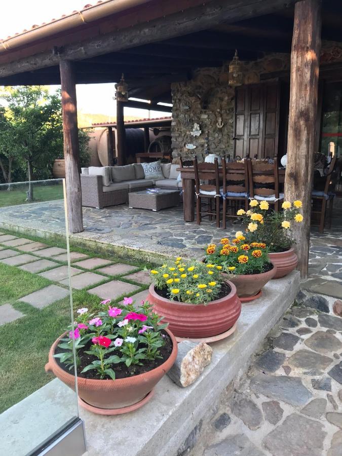 Villa Casa Avocado Tavronitis  Ngoại thất bức ảnh